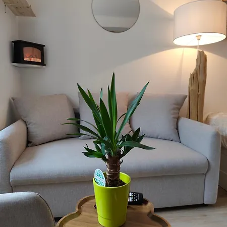 élégant, Chaleureux Et Cosy à Apartamento *