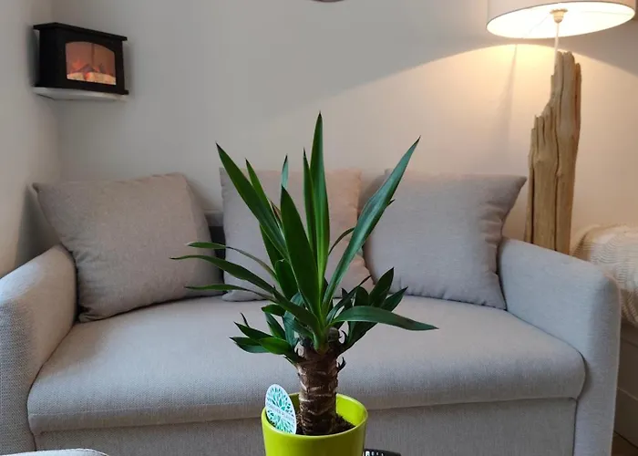 Elegant, Chaleureux Et Cosy A Апартаменты *